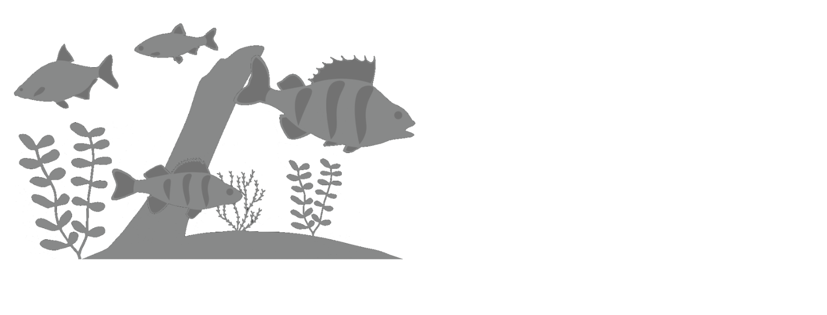 Des sélections pour chaque espèce